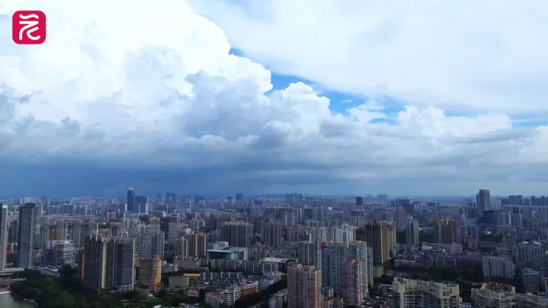 AI内容创作工具怎么选？3类工具场景适配解析